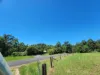 93 Forest Drive, Hampton, Qld 4352-Image
