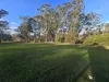 93 Forest Drive, Hampton, Qld 4352-Image