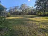93 Forest Drive, Hampton, Qld 4352-Image