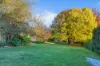 93 Forest Reefs Road, Millthorpe, NSW 2798-Image