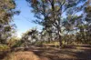 93 Kooyea Lane, Strangways, Vic 3461-Image