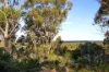 93 Kooyea Lane, Strangways, Vic 3461-Image
