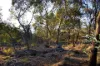 93 Kooyea Lane, Strangways, Vic 3461-Image
