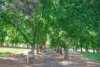 93 O'Hea Street, Coburg, Vic 3058-Image