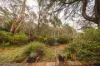 93 Rupert Street, Katoomba, NSW 2780-Image