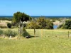 93 Scamander Avenue, Scamander, Tas 7215-Image