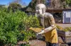 932 Maleny Montville Road, Balmoral Ridge, Qld 4552-Image