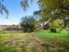 932 Ridgley Highway, Ridgley, Tas 7321-Image