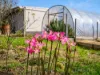 932 Ridgley Highway, Ridgley, Tas 7321-Image