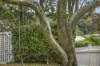 933 Grose Vale Road, Kurrajong, NSW 2758-Image