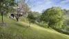 933 Grose Vale Road, Kurrajong, NSW 2758-Image