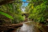 934 Pullom Road, Nerada, Qld 4860-Image
