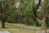 94 Arnott Street, Trigg, WA 6029-Image