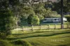 94 Bay Road, Arcadia, NSW 2159-Image