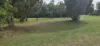 94 Beatts Road, Forrest Beach, Qld 4850-Image
