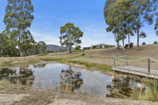 94 Blue Hills Road, Copping, Tas 7174
