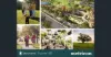 94 Dallas Drive, Gilead, NSW 2560-Image