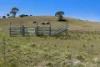 94 Emu Swamp Road, Orange, NSW 2800-Image