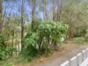 94 Florabella Drive, Robina, Qld 4226-Image