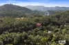 94 Glencoe Road, North Arm, NSW 2484-Image