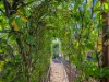 94 Main Road, Binalong Bay, Tas 7216-Image