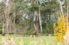 94  Penrose Road, Bundanoon, NSW 2578-Image