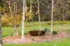 94  Penrose Road, Bundanoon, NSW 2578-Image
