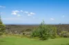 94 Tableland Road, Wentworth Falls, NSW 2782-Image