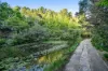 94 Tableland Road, Wentworth Falls, NSW 2782-Image