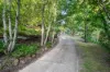 94 Tableland Road, Wentworth Falls, NSW 2782-Image