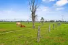 94 Trappaud Road, Louth Park, NSW 2320-Image