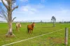 94 Trappaud Road, Louth Park, NSW 2320-Image