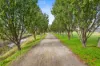 94 Trappaud Road, Louth Park, NSW 2320-Image