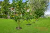 94 Trappaud Road, Louth Park, NSW 2320-Image