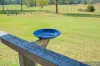 940 Markwell Road, Bulahdelah, NSW 2423-Image