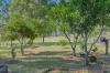 940 Markwell Road, Bulahdelah, NSW 2423-Image