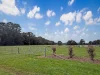 940 Upper Boho Road, Boho South, Benalla VIC 3672-Image