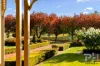 941 North Harcourt Road, Sedgwick, Vic 3551-Image