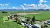 949 Walkerston-Homebush Road, Sandiford, Qld 4740-Image