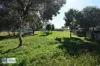 95-101 Horrocks Highway, Wilmington, SA 5485-Image