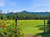 95 Bakker Drive, Bonville, NSW 2450-Image