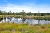 95 Billabong Parade, Chisholm, NSW 2322-Image