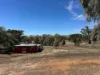 95 Brogan Road, Georgetown, SA 5472-Image