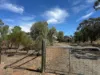 95 Brogan Road, Georgetown, SA 5472-Image
