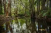 95 Ching Creek Rd, Sarina, Qld 4737-Image