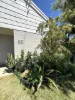 95 David Brand Drive, Brockman, WA 6701-Image