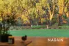 95 Equestrian Drive, Woodcroft, SA 5162-Image
