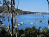 95 Florence Terrace, Scotland Island, NSW 2105