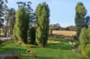 95 High Street, Trentham, Vic 3458-Image
