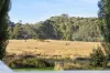 95 High Street, Trentham, Vic 3458-Image